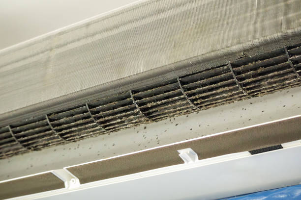 Best Air Duct Cleaning Near Me in East Camden, SC